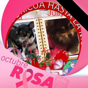 Meet your Posher, Gladys